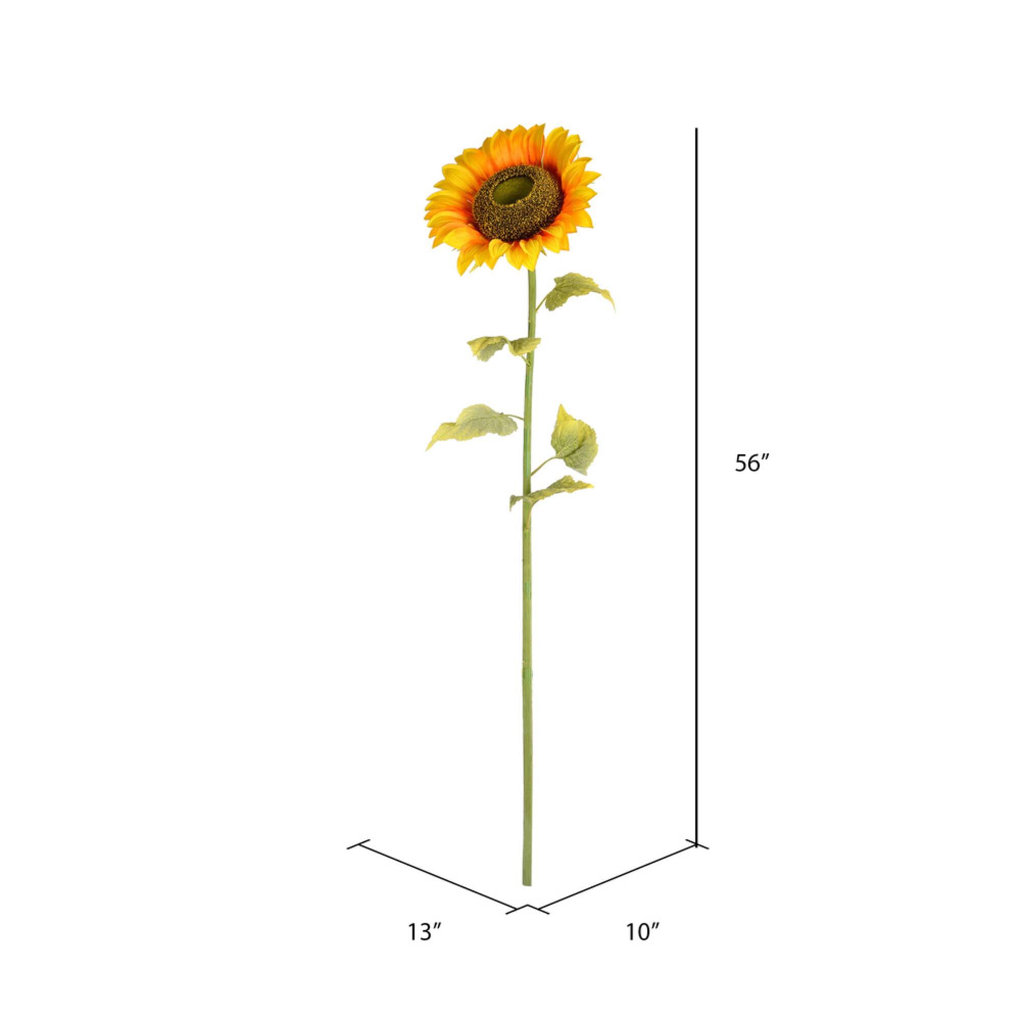 Yellow Sunflower Stem